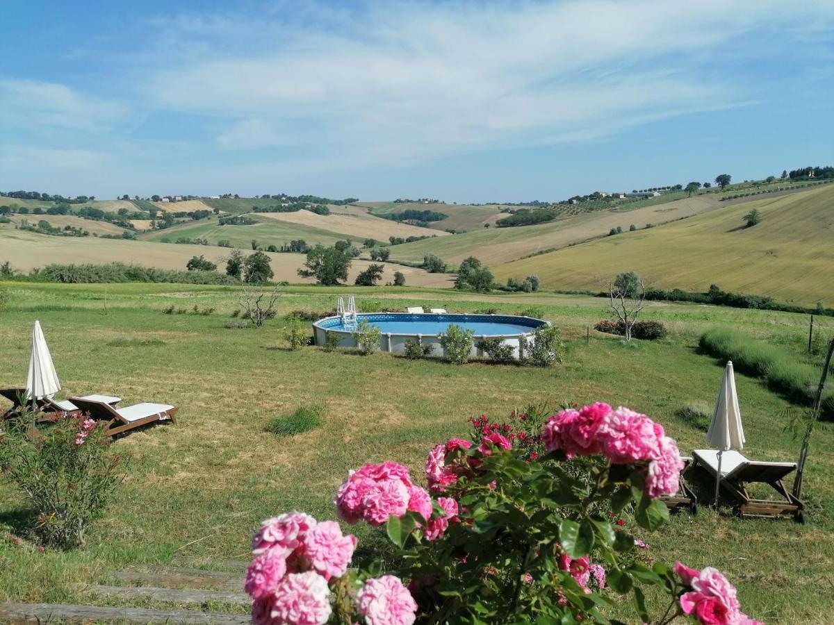 Il Giardino Nella Valle Belvedere Ostrense Exterior photo