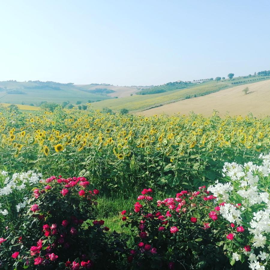 Il Giardino Nella Valle Belvedere Ostrense Exterior photo