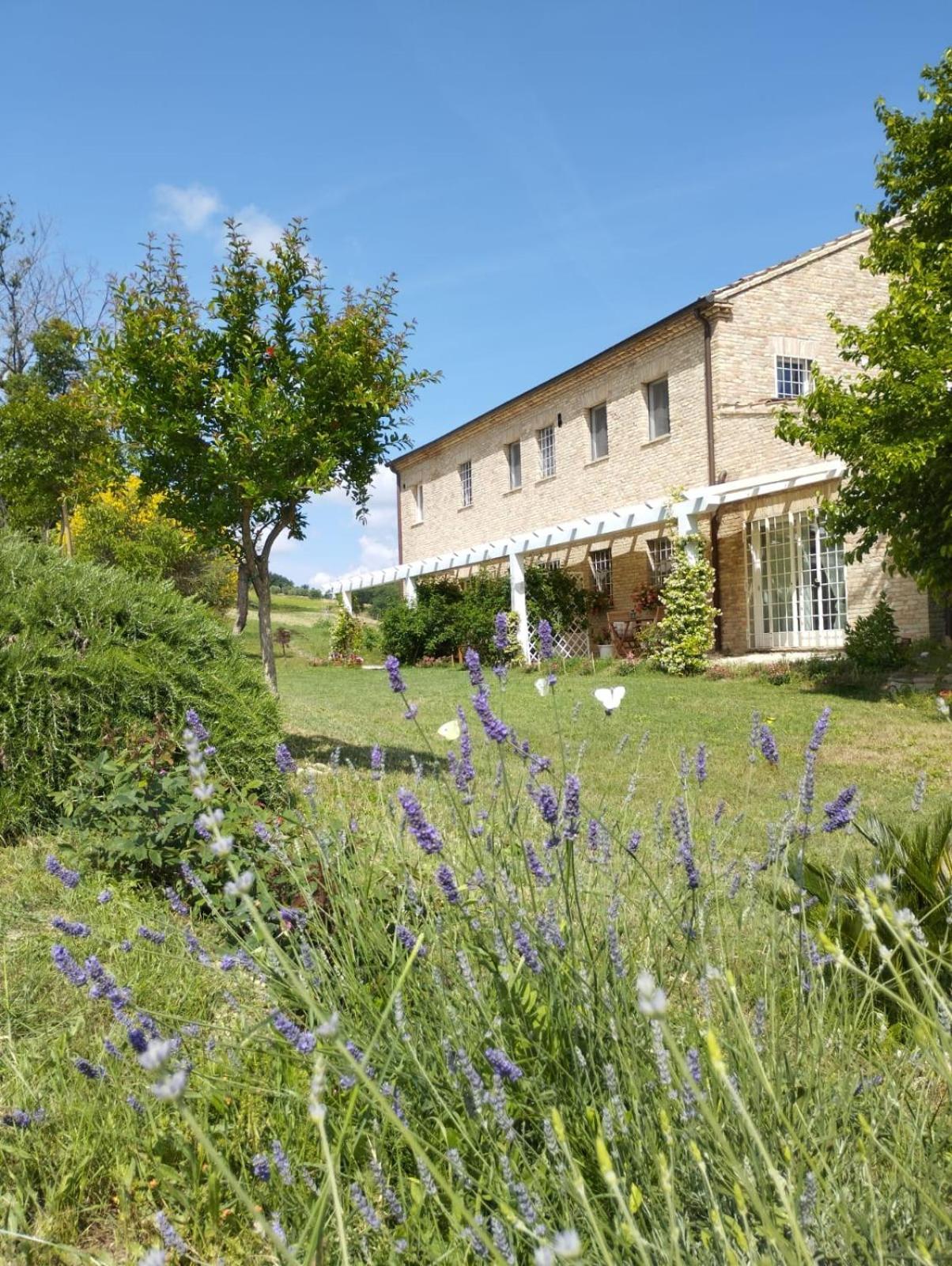 Il Giardino Nella Valle Belvedere Ostrense Room photo