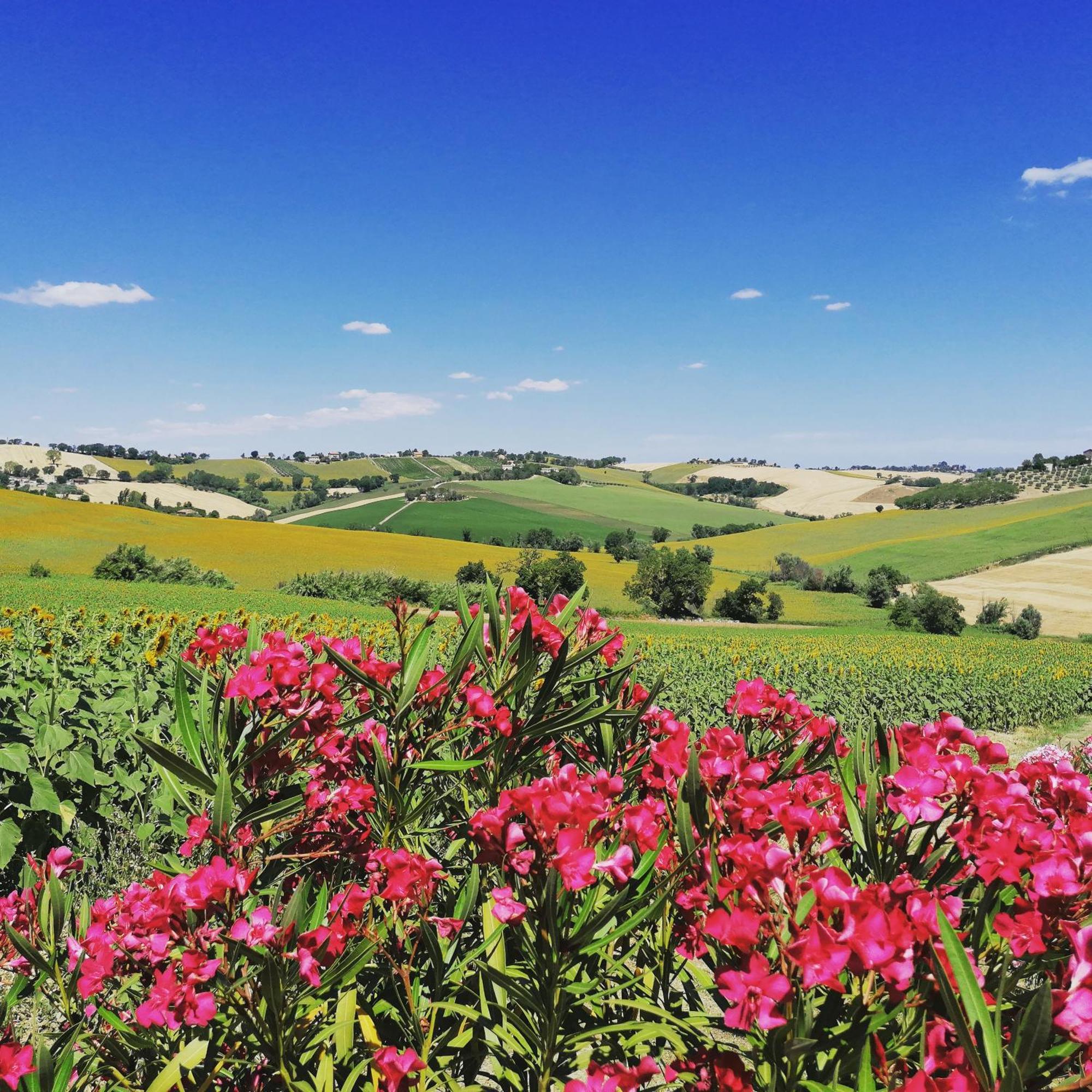 Il Giardino Nella Valle Belvedere Ostrense Exterior photo