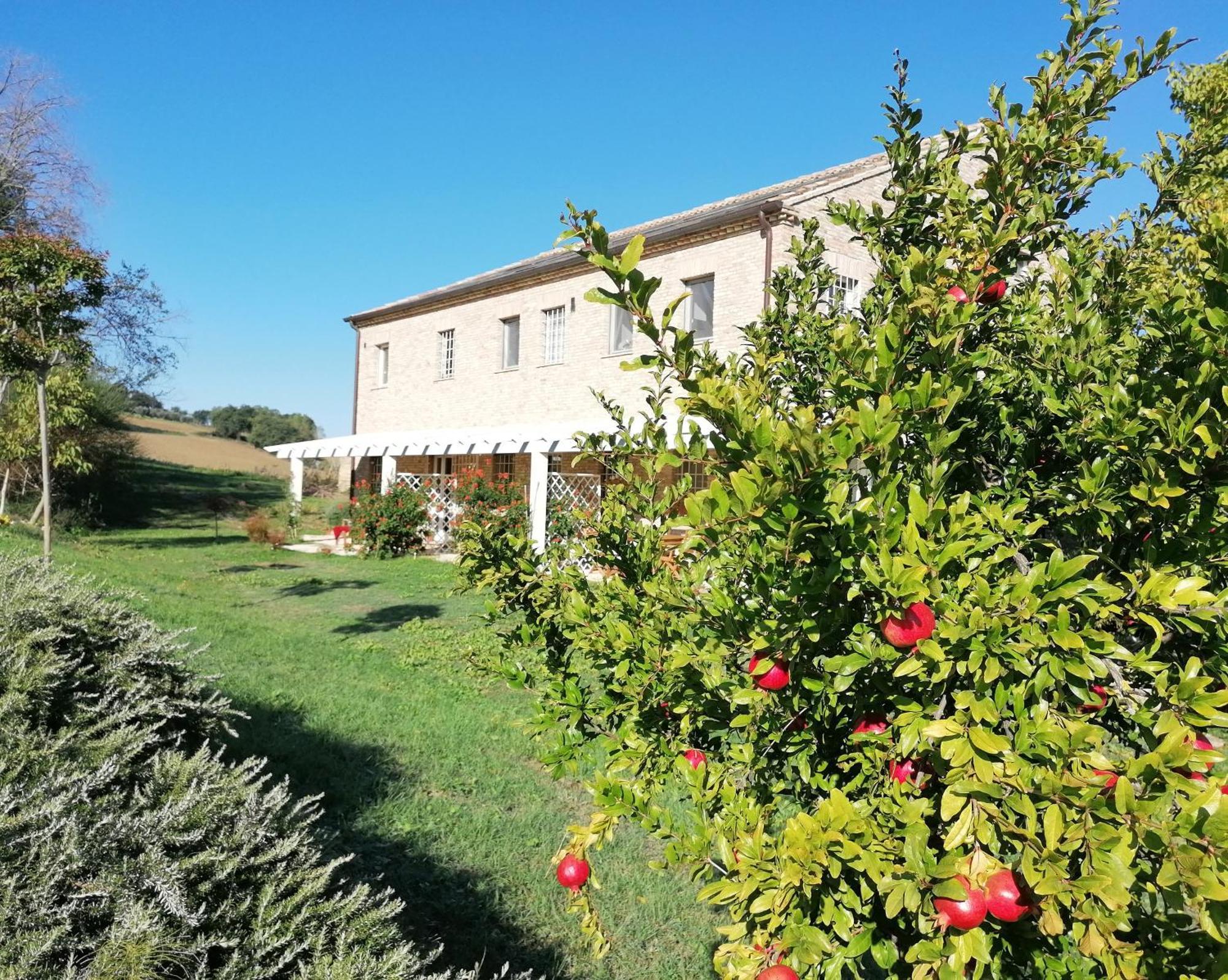 Il Giardino Nella Valle Belvedere Ostrense Exterior photo