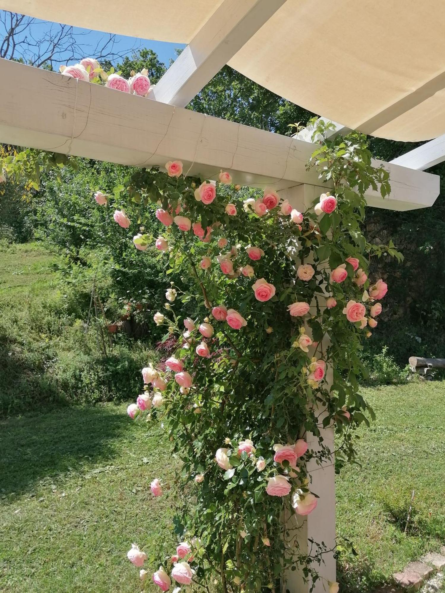 Il Giardino Nella Valle Belvedere Ostrense Exterior photo