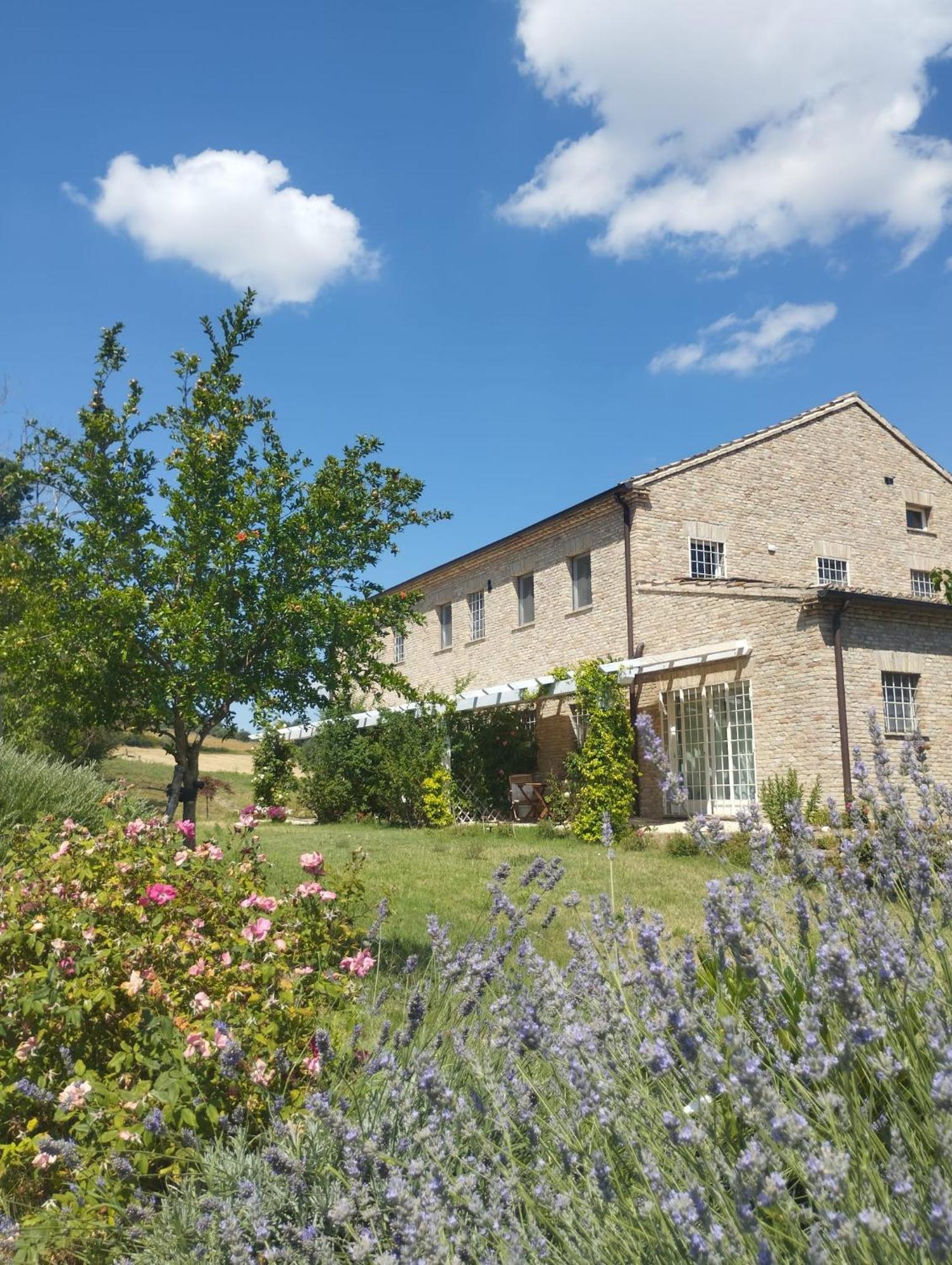 Il Giardino Nella Valle Belvedere Ostrense Exterior photo